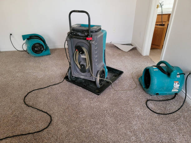 Best Flood restoration services  in St Francis, WI