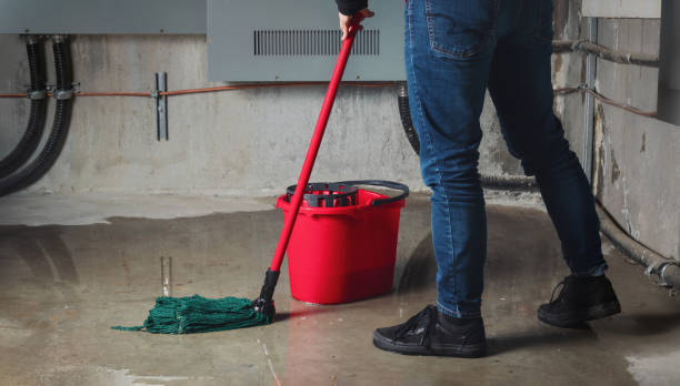 Best Water damage cleanup near me  in St Francis, WI