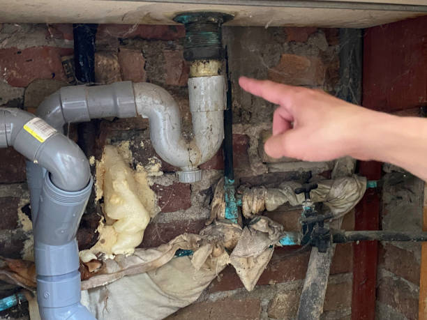Best Water damage contractors near me  in St Francis, WI