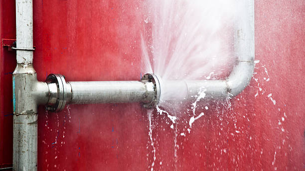 Best Professional water damage repair  in St Francis, WI